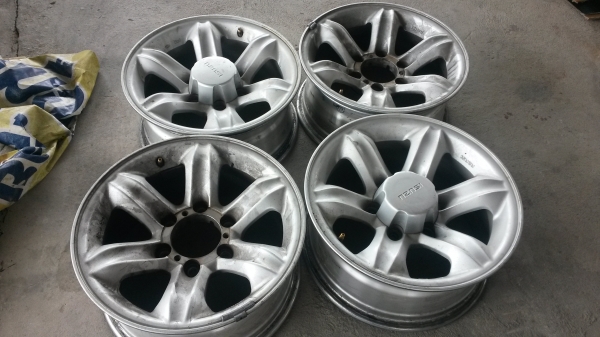 แม็กเล็บเหยี่ยว แท้ขอบ16