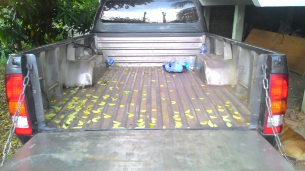 ขายลูกกะบะเลสวีโก้แค็ป33000