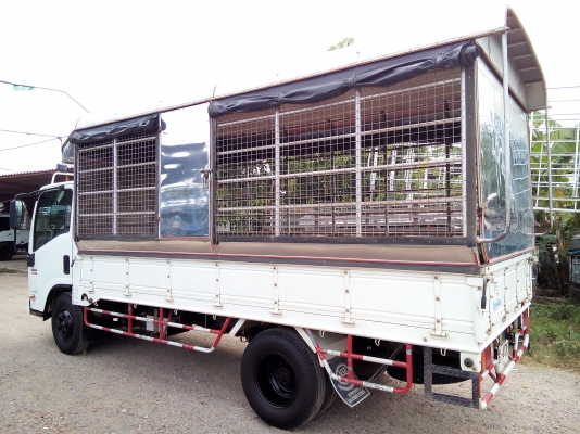 6 ล้อกลาง *Euro.3* ISUZU NMR 130 แรงม้า *คอมมอนเรว* รถสวยเดิม+สวยจริง+พร้อมใช้งาน * รถห้างแท้ * มีเล่มพร้อมโอน * 6 ล้อกลาง *Euro.3* ISUZU NMR 130 แรงม้า *คอมมอนเรว* รถสวยเดิม+สวยจริง+พร้อมใช้งาน * รถห้างแท้ * มีเล่มพร้อมโอน *