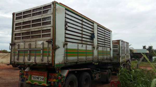 ขายรถพ่วง22ล้อ แม่.ลูก กระบะเนียมคอกเกษตรดั้ม อู่.ส สมบัติ ISUZU 360 ปี.54 ใช้งานอยู่ ราคา.2550000 สนใจรีบจองด่วน ขายรถพ่วง22ล้อ แม่.ลูก กระบะเนียมคอกเกษตรดั้ม อู่.ส สมบัติ ISUZU 360 ปี.54 ใช้งานอยู่ ราคา.2550000 สนใจรีบจองด่วน