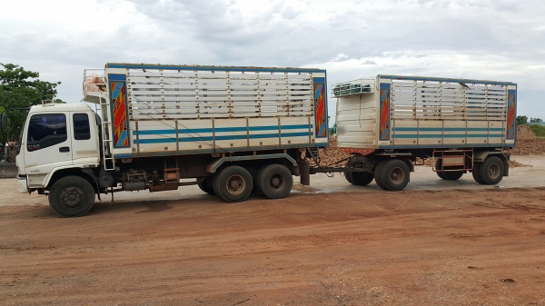 ขายรถพ่วง18ล้อ แม่.ลูก กระบะเนียมคอกเกษตรดั้ม อู่.เสรีชัยพัฒนา ISUZU 270 ปี.ต.ค.48 รถสวย ราคา.1850000 ต่อรอง ขายรถพ่วง18ล้อ แม่.ลูก กระบะเนียมคอกเกษตรดั้ม อู่.เสรีชัยพัฒนา ISUZU 270 ปี.ต.ค.48 รถสวย ราคา.1850000 ต่อรอง