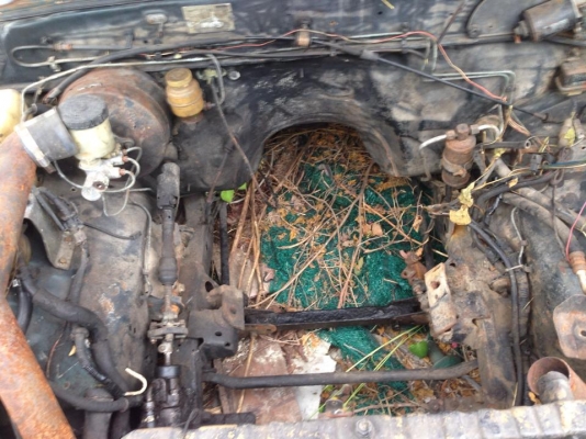 ฝากขายครับรถมาสด้าพร้อมเครื่อง ทะเบียนขาดต้องจดใหม่ ขาย 38500 บาท