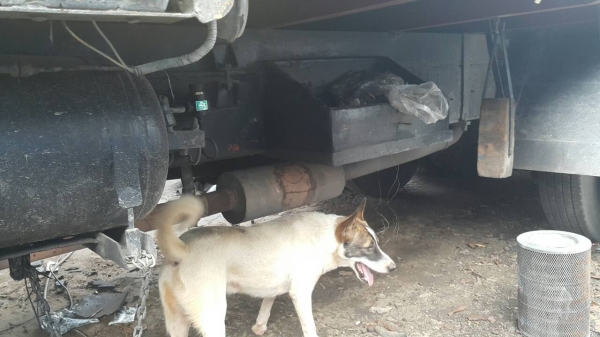 Isuzu ร้อคเล็ก ยางดีทุกเส้นคะ