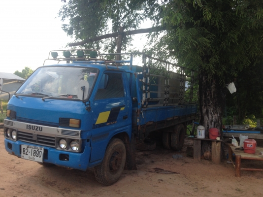 ขายหกล้อ  100 แรงฝาขาว  ISUZU  TL