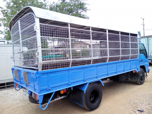 6 ล้อกลาง *Euro.2* ISUZU NPR 130 แรงม้า * ยาว 5.00 ม. * รถสวยเดิม+สวยจริง+พร้อมใช้งาน * รถห้างแท้ * มีเล่มพร้อมโอน * 6 ล้อกลาง *Euro.2* ISUZU NPR 130 แรงม้า * ยาว 5.00 ม. * รถสวยเดิม+สวยจริง+พร้อมใช้งาน * รถห้างแท้ * มีเล่มพร้อมโอน *