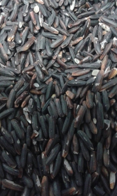 ขายข้าวไรซ์เบอร์รี จำนวน 100 ตัน