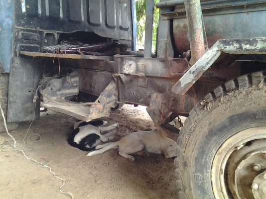 ขายตามสภาพรถนวดข้าว4ล้อกลางเครื่องอีซูซุ74แรงตู้นวดสิงเปลือยจัมโบ ขายตามสภาพรถนวดข้าว4ล้อกลางเครื่องอีซูซุ74แรงตู้นวดสิงเปลือยจัมโบ