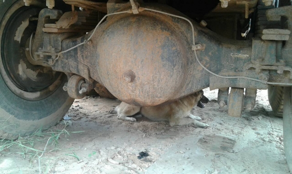 **588,000 บ.ต่อรอง/// 10ล้อ NISSAN UD-230HP 2เพลาดั้ม **ขาย NISAN DIESEL UD-230HP 10ล้อ2เพลาดั้ม พร้อมใช้งาน ราคาเบา NISSAN UD CWM430M PE6-230HP ปี39 เครื่องเดิม เกียร์เดิม 10สปีด เครื่องดี แรง แน่น เกียร์ดี ไม่หลุดครับ ช่วงล่างเดิม แน่น คัสซีดี ใหญ่ สวย