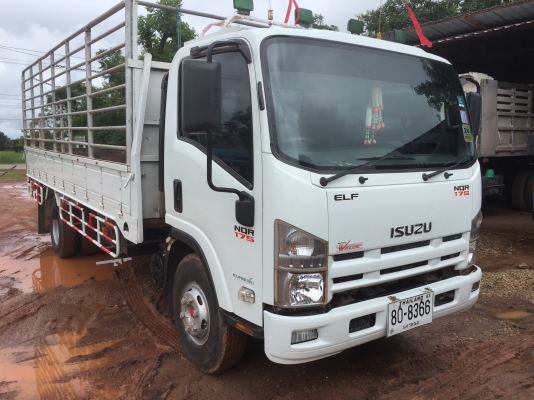 NQR175แรงปี54ขายดาว500000