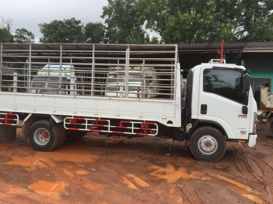 NQR175แรงปี54ขายดาว500000