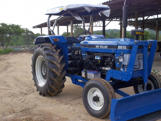 ขายขี้วัวแห้งอยู่ในปากช่อง