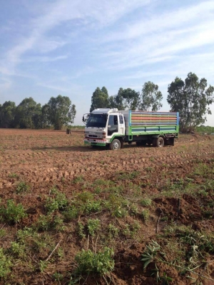 ขาย6ล้อดัมพ์ เกษตรอีซูซุร็อคกี้ 195 FRRตาหวาน เครื่องดี แชชซีสวยต่อใหม่ แอร์ พ.เพาเวอร์ เบรคทิ๊ฟฟี่ เอกสารเล่มทะเบียนพร้อมโอน ขาย6ล้อดัมพ์ เกษตรอีซูซุร็อคกี้ 195 FRRตาหวาน เครื่องดี แชชซีสวยต่อใหม่ แอร์ พ.เพาเวอร์ เบรคทิ๊ฟฟี่ เอกสารเล่มทะเบียนพร้อมโอน