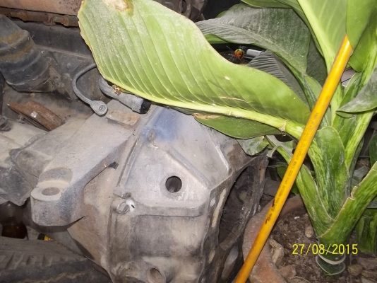 ขายเครื่อง ร็อก175 แรง พร้อมใบคุมเครื่อง ขายเครื่อง ร็อก175 แรง พร้อมใบคุมเครื่อง