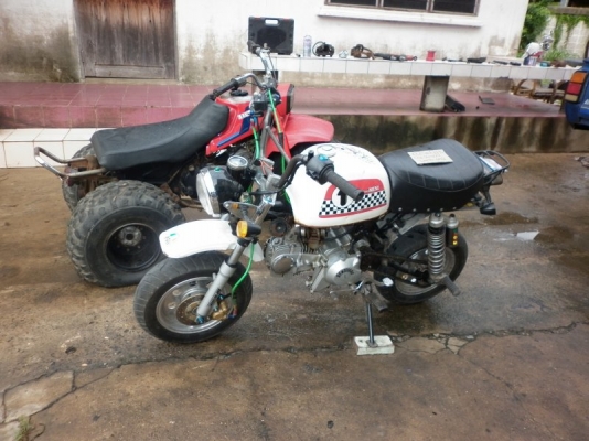 ขาย stallion gio ทะเบียนโอน