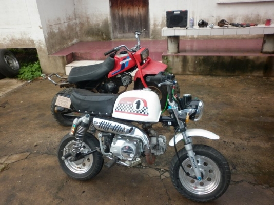 ขาย stallion gio ทะเบียนโอน