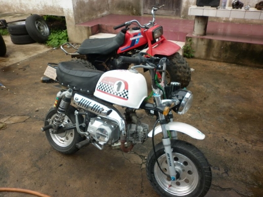 ขาย stallion gio ทะเบียนโอน