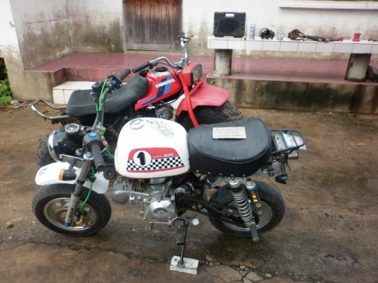 ขาย stallion gio ทะเบียนโอน