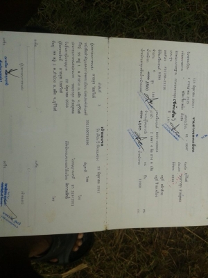 รถหกล้อ ยาว 6 เมตร เครื่อง180  สวยยาง825ขอบ16