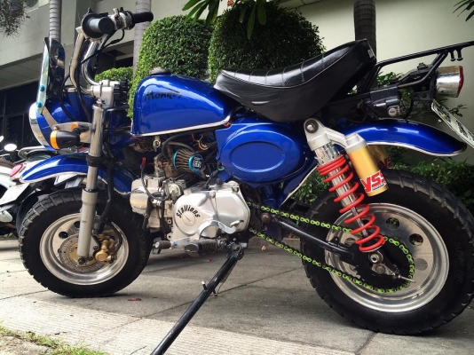 ขายมั้งกี้สตาเลี่ยน  18,800