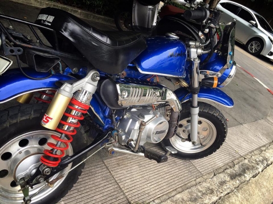 ขายมั้งกี้สตาเลี่ยน  18,800