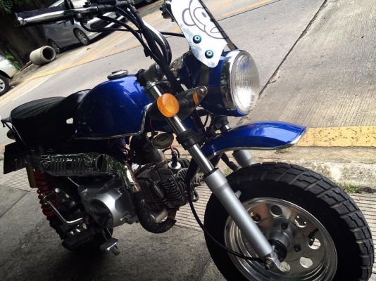 ขายมั้งกี้สตาเลี่ยน  18,800