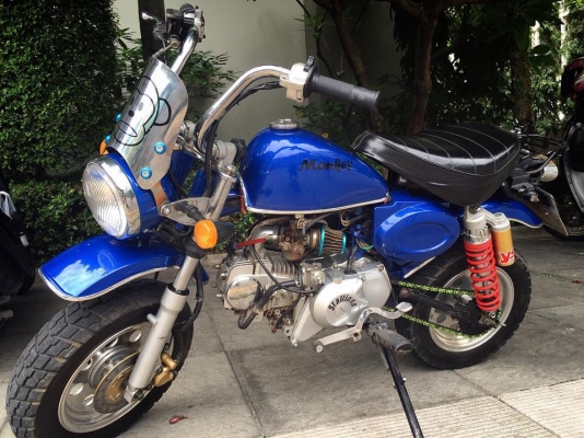 ขายมั้งกี้สตาเลี่ยน  18,800