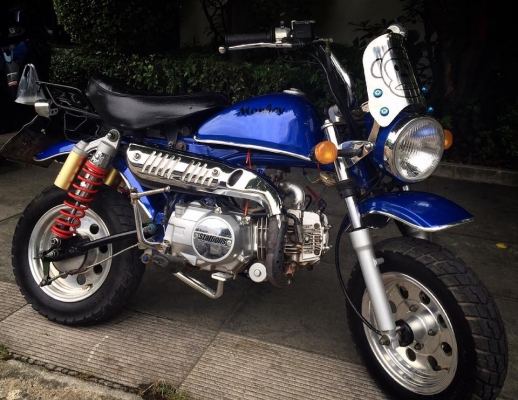 ขายมั้งกี้สตาเลี่ยน  18,800