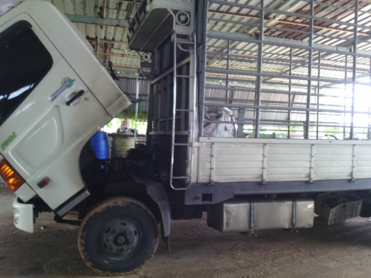 หกล้อ ซีรี่500 ฮีโน้ FC 9JJKA~150 ปี53 แอร์ เวอร์ ทิฟฟี ช่างยาว 5.50ม สภาพดีสวยบางเดิม ทะเบียนพร้อมโอน