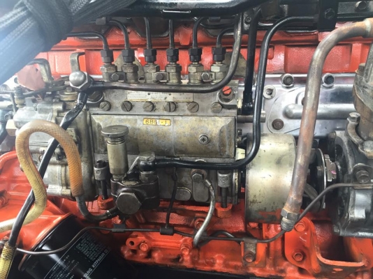 ขาย Isuzu 6BG1 เสื้อส้ม 185 แรง ขาย Isuzu 6BG1 เสื้อส้ม 185 แรง