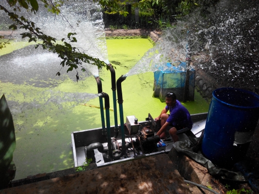 ขายเรือรดน้ำสแตนเลส