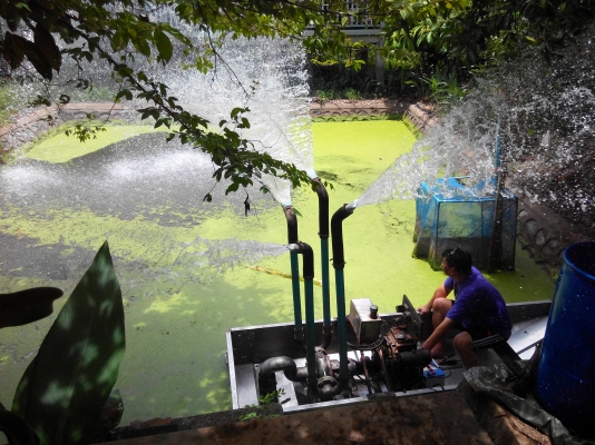 ชายเรือสแตนเลส รดน้ำ