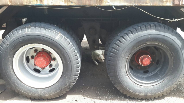 ขายลูกพ่วงสามมิตรแท้ 3เพลา ไม่ดั้ม ยาว6.50 เมตร