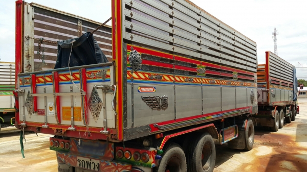 ขายรถพ่วง 24 ล้อ แม่.ลูก กะบะเนียมคอกเกษตรเนียมดั้ม อู่.พงค์ไพบูรณ์  ISUZU GIGA ปี.54 สวยๆราคา.1650000 สวยๆสนใจรีบจองด่วน