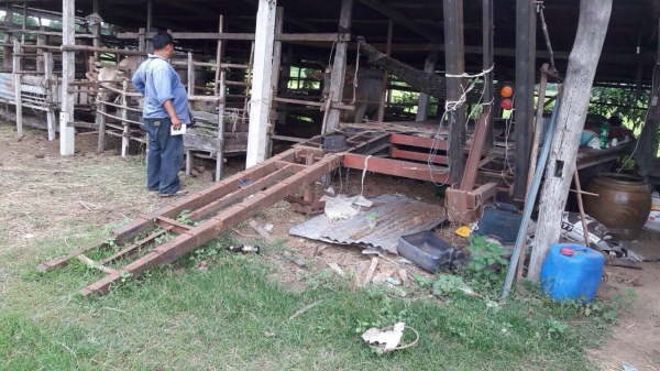 ขายด่วน รถเกี่ยวข้าวไทยเส็งยนต์ พร้อมเทเลอร์ลาก (ราคา 430,000บาท)  เครื่องยนต์ HO7C เทอร์โบ อุ้ม 2.5 ตัน ปั๊มไดกิ้นเบอร์ 22 ช่วงล่างตัวเดิน 10 สภาพพร้อมใช้งาน  ราคาต่อรองได้ครับ ชัยยา สตึก โทร 081-9972972 044-666729