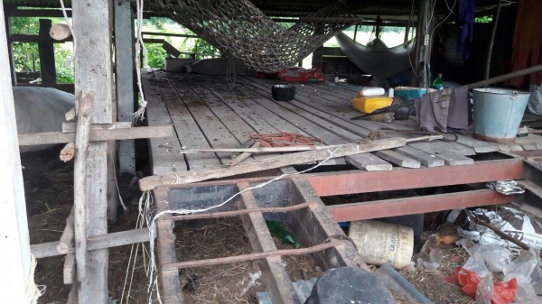 ขายด่วน รถเกี่ยวข้าวไทยเส็งยนต์ พร้อมเทเลอร์ลาก (ราคา 430,000บาท)  เครื่องยนต์ HO7C เทอร์โบ อุ้ม 2.5 ตัน ปั๊มไดกิ้นเบอร์ 22 ช่วงล่างตัวเดิน 10 สภาพพร้อมใช้งาน  ราคาต่อรองได้ครับ ชัยยา สตึก โทร 081-9972972 044-666729