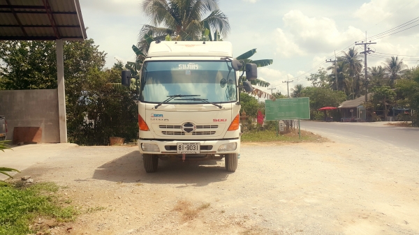 ขายhino175