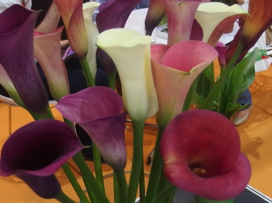 ขายกล่อง ดันราง ECU cube ขาย 3500 บาท ขายกล่อง ดันราง ECU cube ขาย 3500 บาท