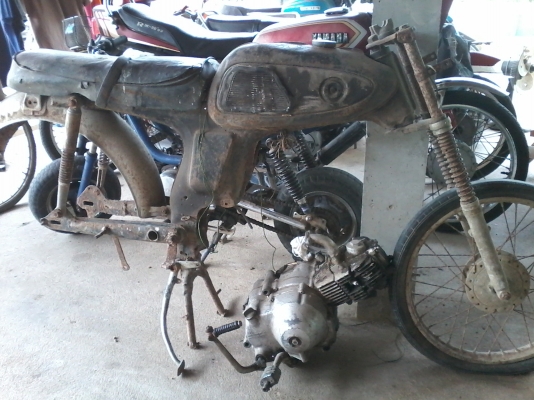 ขาย honda s 50 สมัยปู่จีบย่า