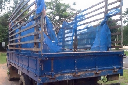 ขายครับไดน่า หัวเล็ก2ปัด เครื่อง115แรง. หัวสวย. เครื่องดี. คัสชีสวย เอกสารพร้อมโอน ยางดี. ยาว4.30 กะบะและฝาท้ายมีตำนิ่ดหน่อย   หัวแก้มน่าสีเลยจะดูไม่สวยเล็กน้อย รถพร้อมใช้งานเลยครับ   เติมน้ำมันขับได้เลย   ราคา135000 สนใจ0930693225 บ้านไผ่