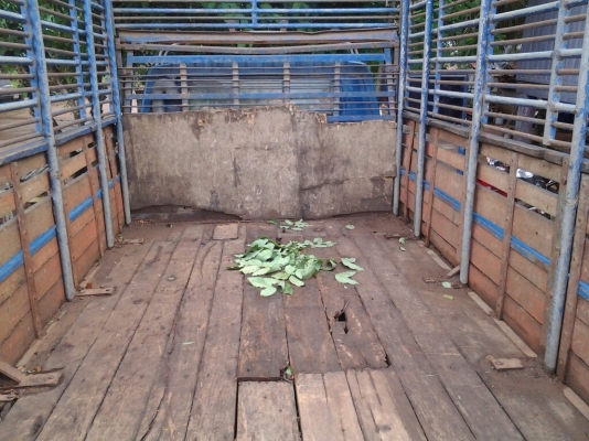 ขายtoyota dyna 115