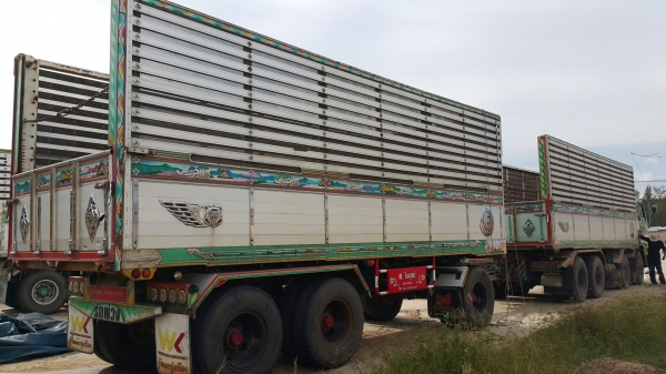 ขายรถพ่วง 24 ล้อ แม่.ลูก กระบะเนียมคอกเกษตรดั้ม อู่.พงษ์ไพบูลย์ ISUZU GIGA เครื่อง 6SD1 เครื่องนอก ปี.53-54 รถสวย ราคา.1650000 สนใจนัดดูรถได้เลย ขายรถพ่วง 24 ล้อ แม่.ลูก กระบะเนียมคอกเกษตรดั้ม อู่.พงษ์ไพบูลย์ ISUZU GIGA เครื่อง 6SD1 เครื่องนอก ปี.53-54 รถสวย ราคา.1650000 สนใจนัดดูรถได้เลย