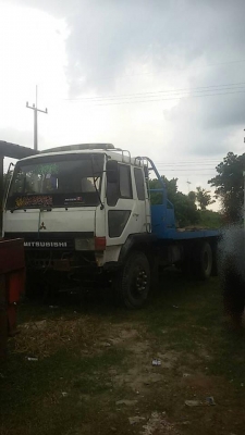 ขายด่วน!!! ไอ้หลง MA หางปลา ขายด่วน!!! ไอ้หลง MA หางปลา