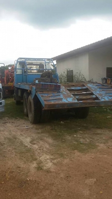 ขายด่วน!!! ไอ้หลง MA หางปลา ขายด่วน!!! ไอ้หลง MA หางปลา