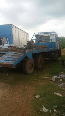 ขายด่วน!!! ไอ้หลง MA หางปลา ขายด่วน!!! ไอ้หลง MA หางปลา