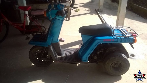 ขายhonda gyro x สามล้อป๊อบ 15000 ขายhonda gyro x สามล้อป๊อบ 15000