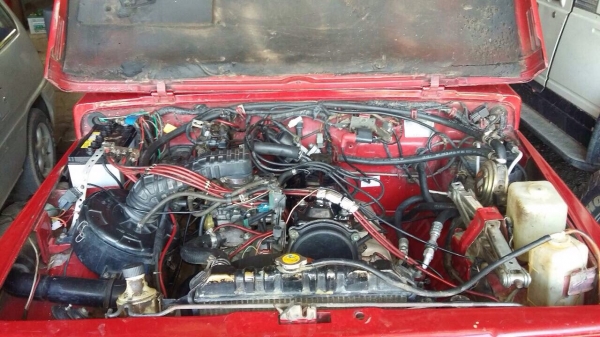 คาริเบียนปี40 คาริเบียนปี40