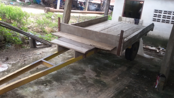 ขายสาลี้ ราคา10000บาท โทร0813655997อำพร พาเจริญ ต วังบัว อ คลองขลุง จ กำแพงเพชร