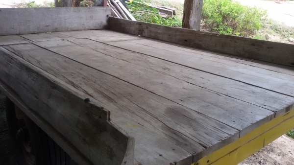 ขายสาลี้ ราคา10000บาท โทร0813655997อำพร พาเจริญ ต วังบัว อ คลองขลุง จ กำแพงเพชร