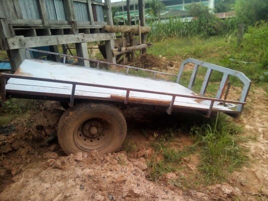 เทนเลอร์ลกอ้อย ลากมัน