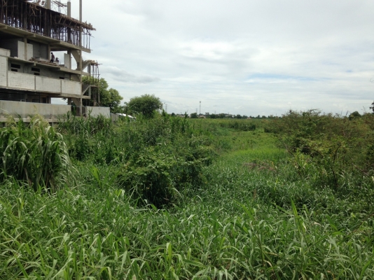 ขายที่ดิน แยกบางคูวัด ติดถนน 307   ขนาดที่ดิน 6 ไร่ 1 งาน 65 ตารางวา อยู่ติดถนนหลวง 307 กรุงเทพ - ปทุมธานี    สถานที่ใกล้เคียง   อยู่ระหว่างหมู่บ้านชวนชื่น ฟลอร่าวิลล์ และ โชว์รูมอีซูซุ ห่างจากแยกบางคูวัด 1.5กิโลเมต  ขายทั้งหมด 55 ล้านบ้าน ซื้อไว้ กำไรแน่